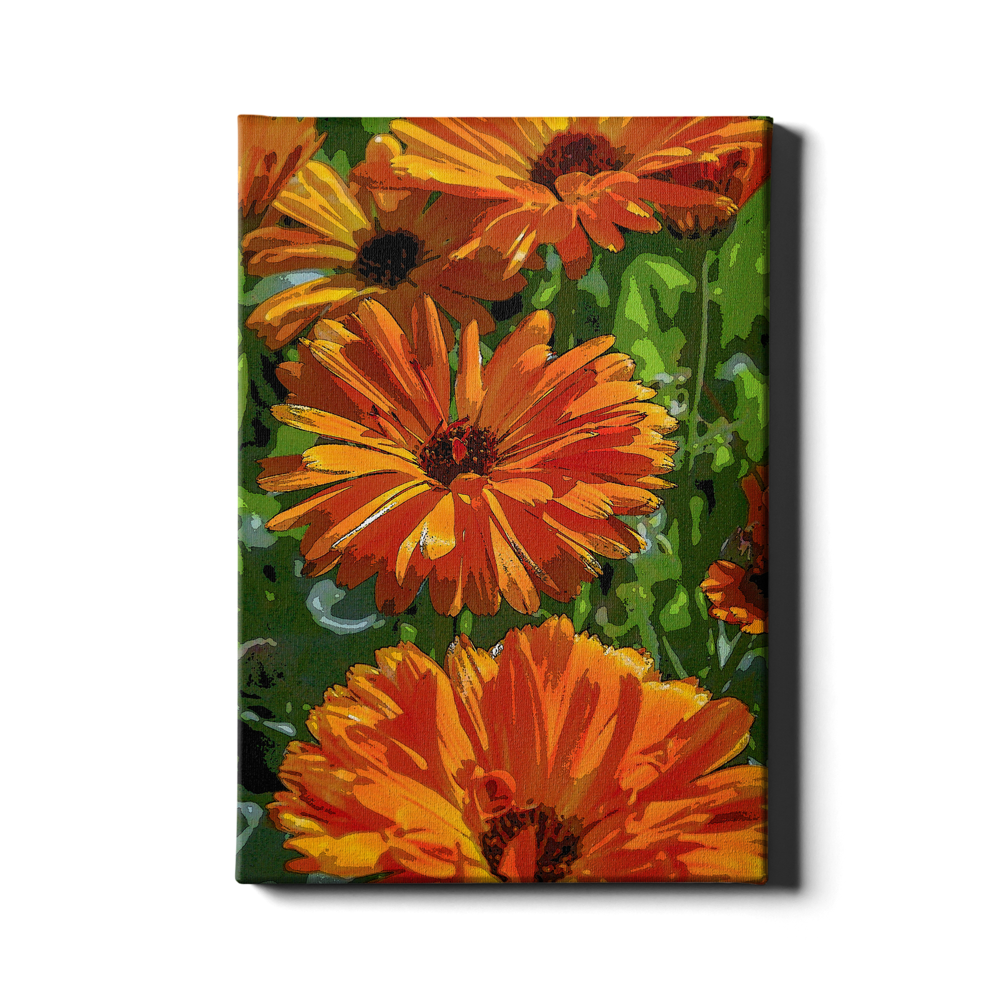 CALENDULE