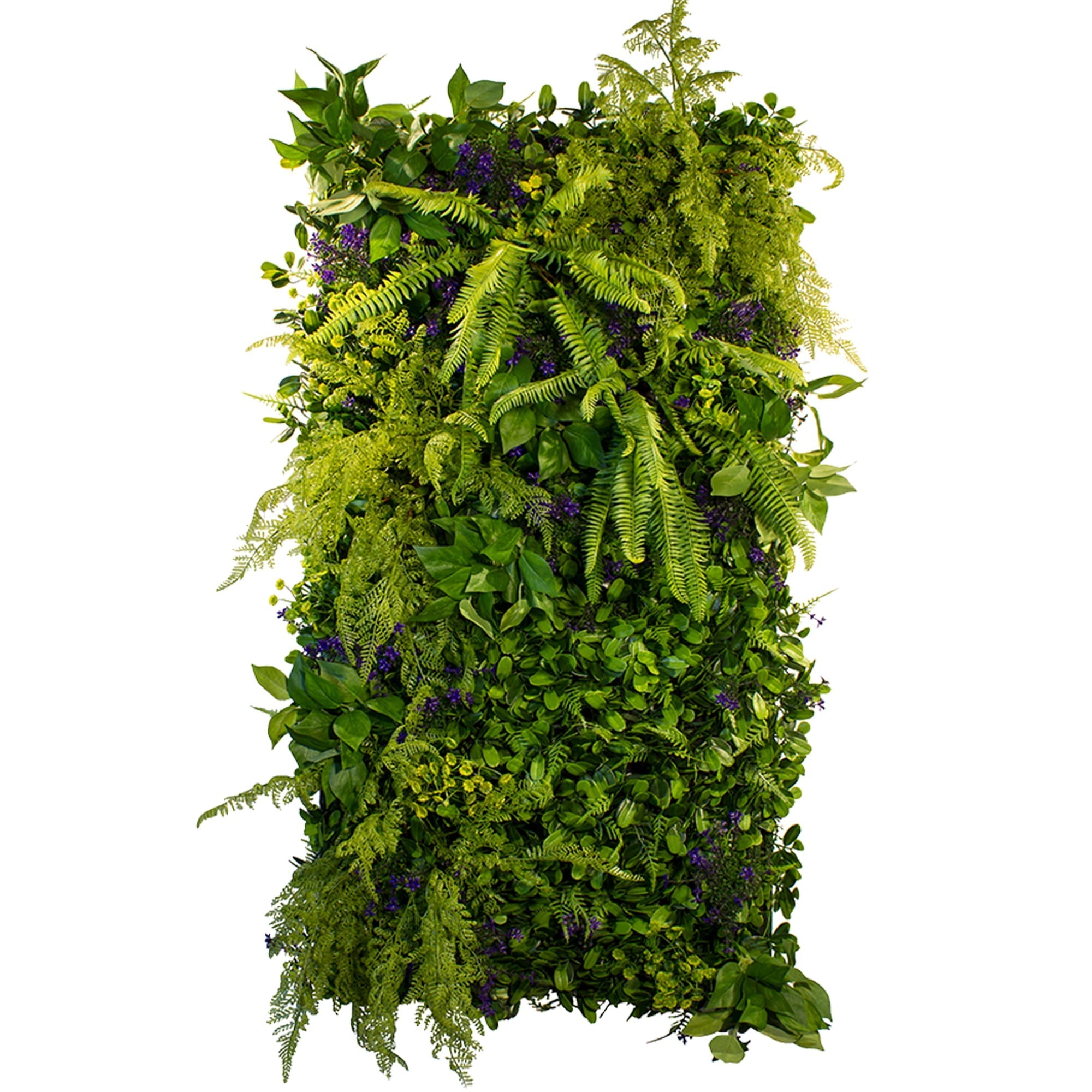 Vertical garden Mamba