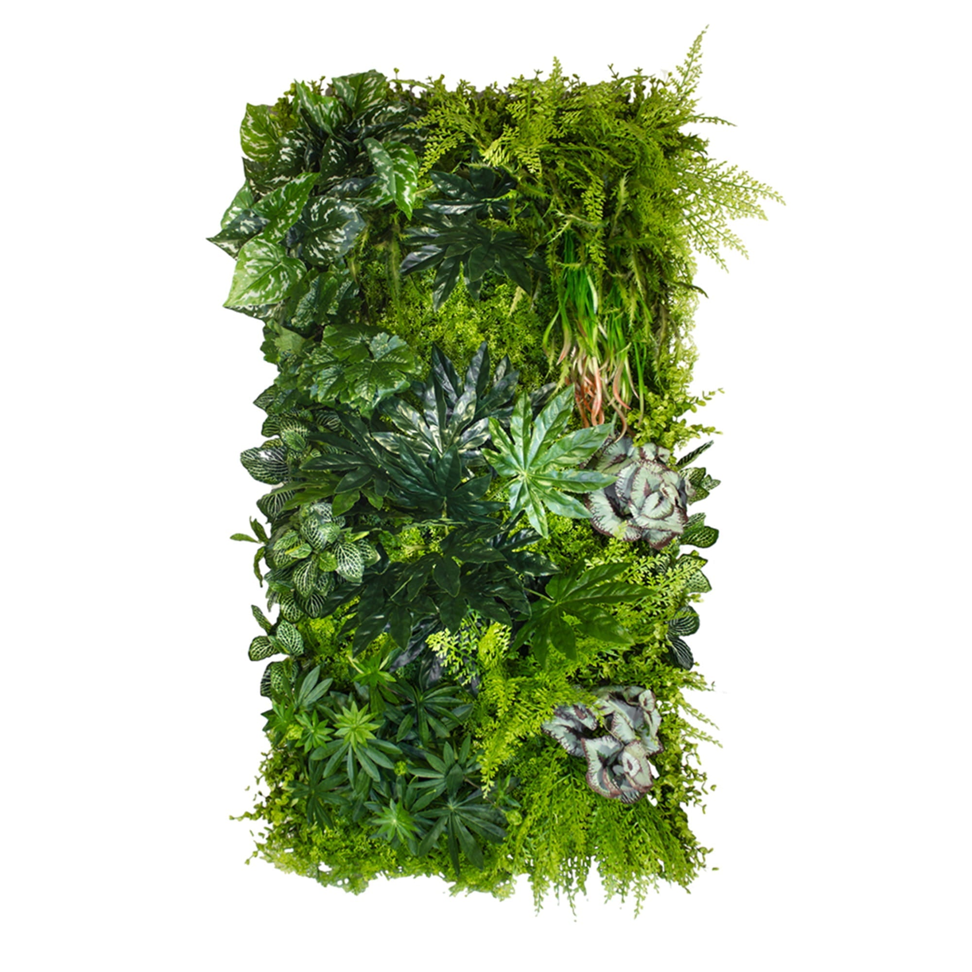 Vertical garden tropical