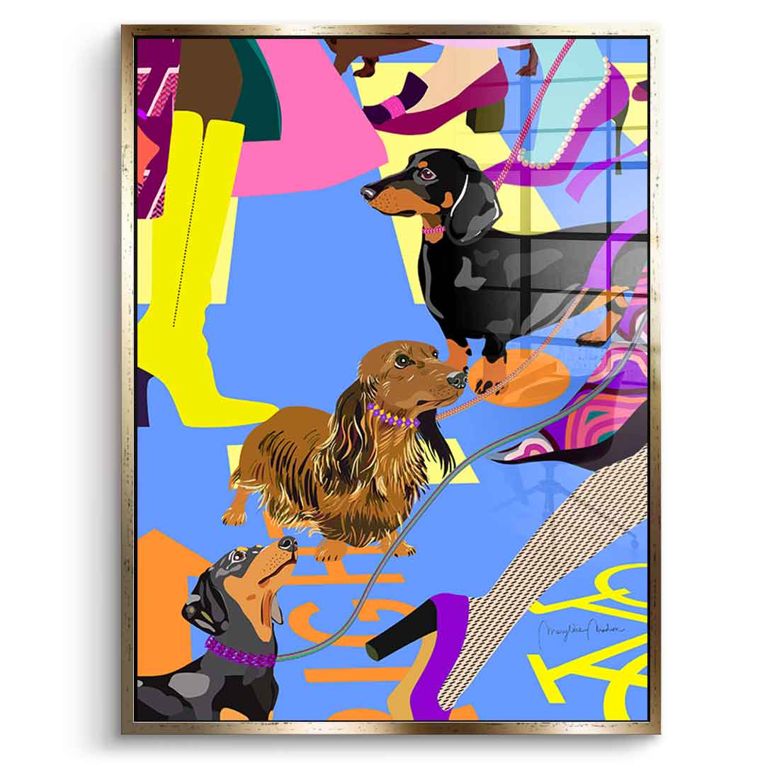 Dachshund Fashion - acrylic glass