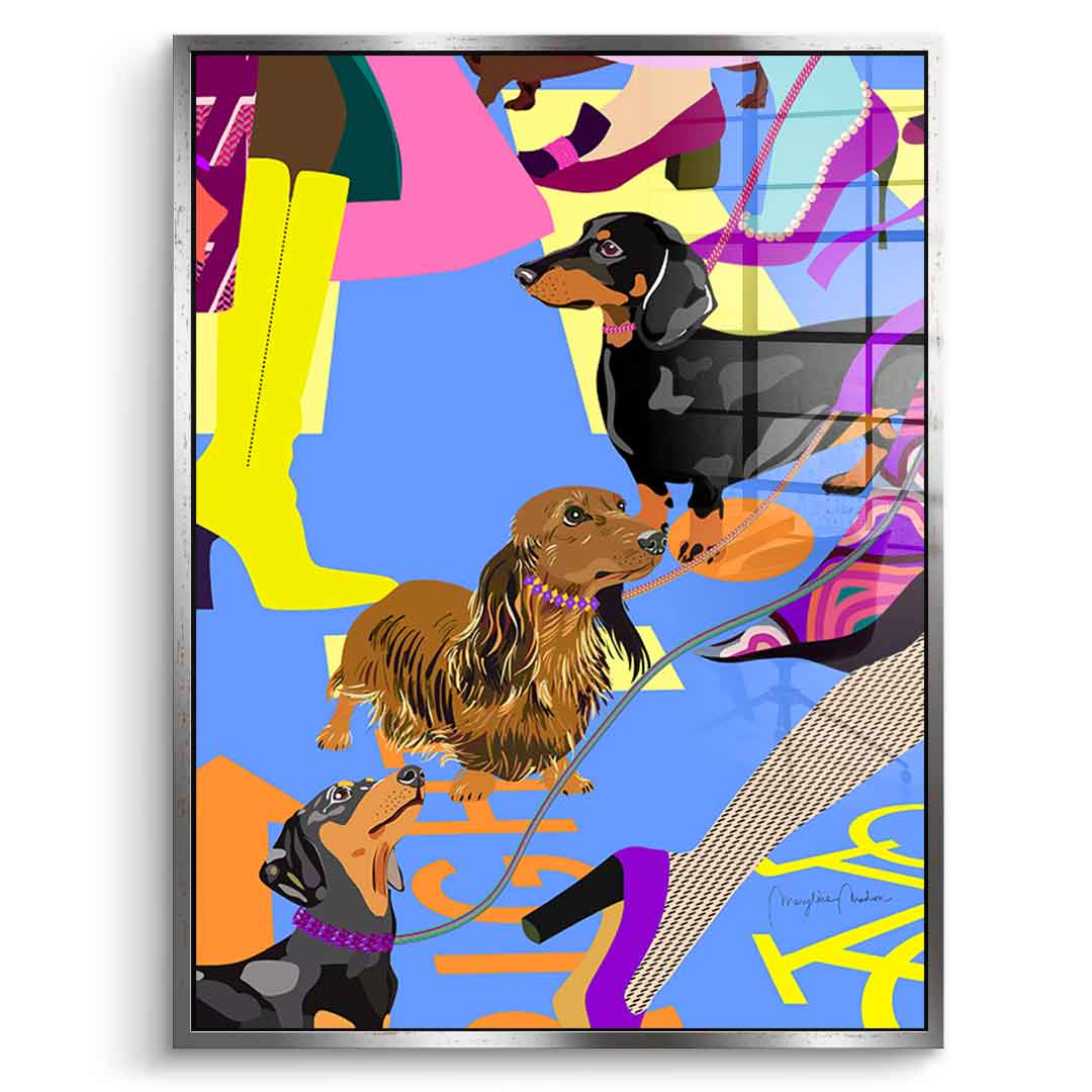 Dachshund Fashion - acrylic glass