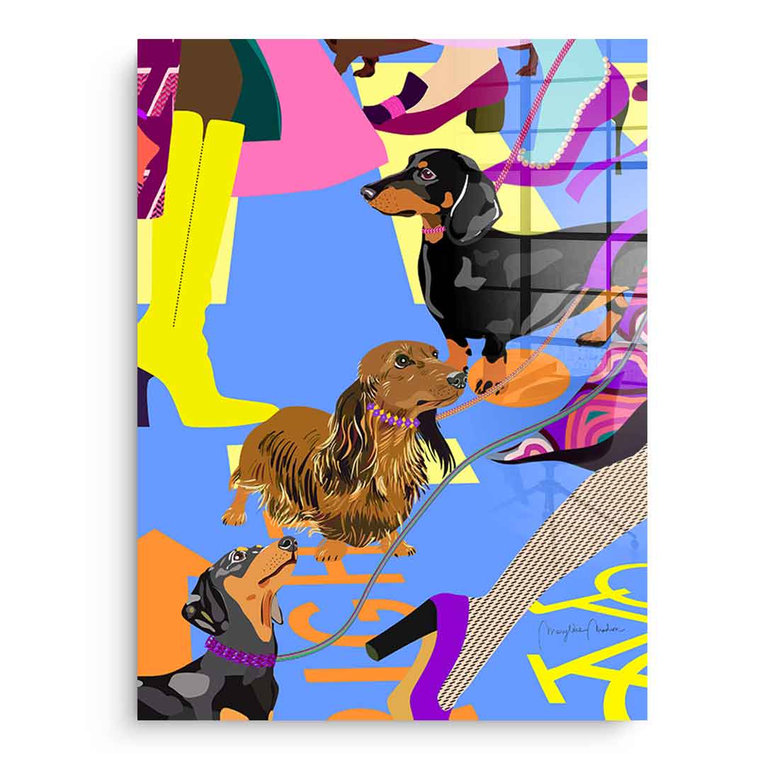 Dachshund Fashion - acrylic glass