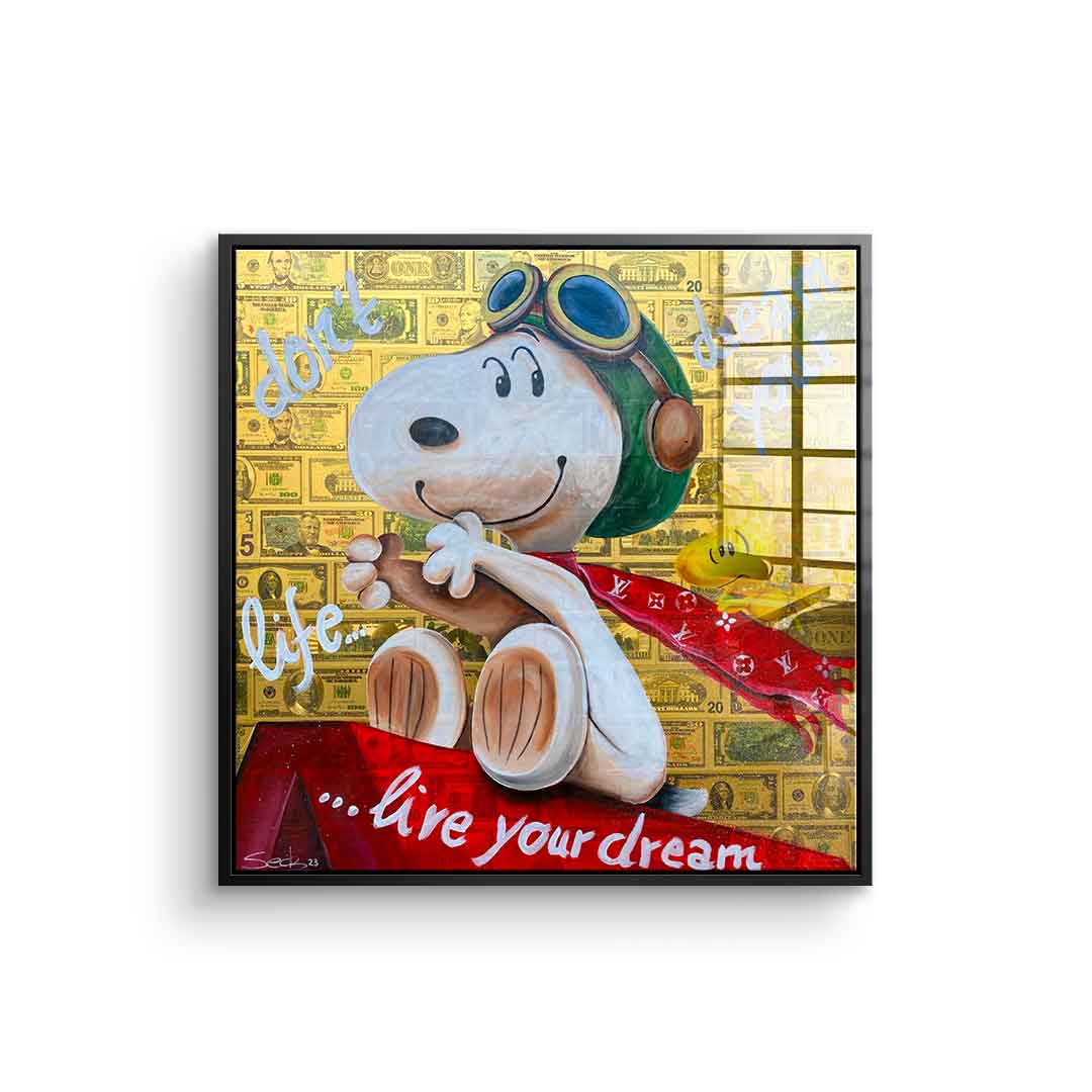 Dont Dream your Life - acrylic glass