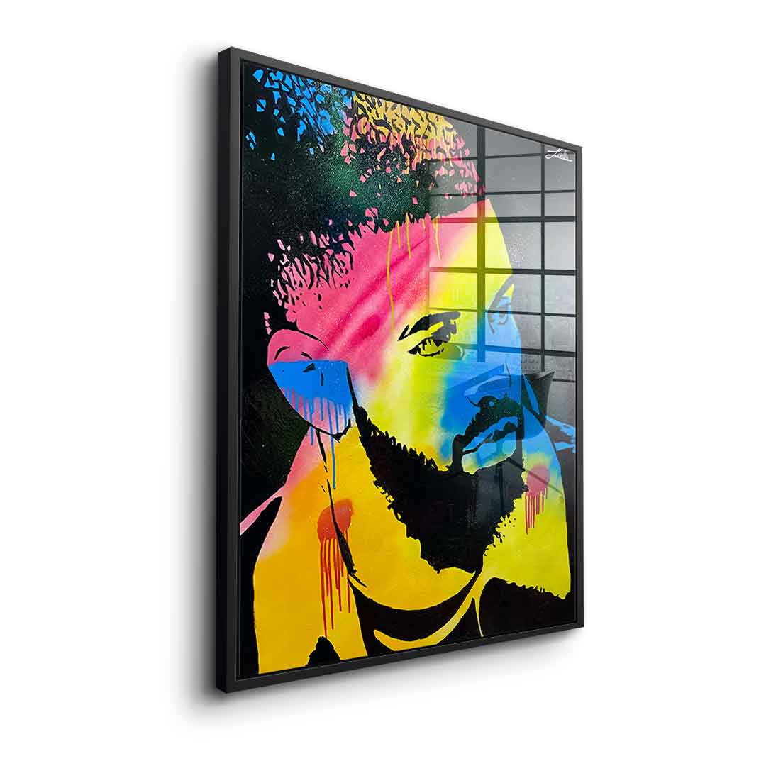 Drake - acrylic glass