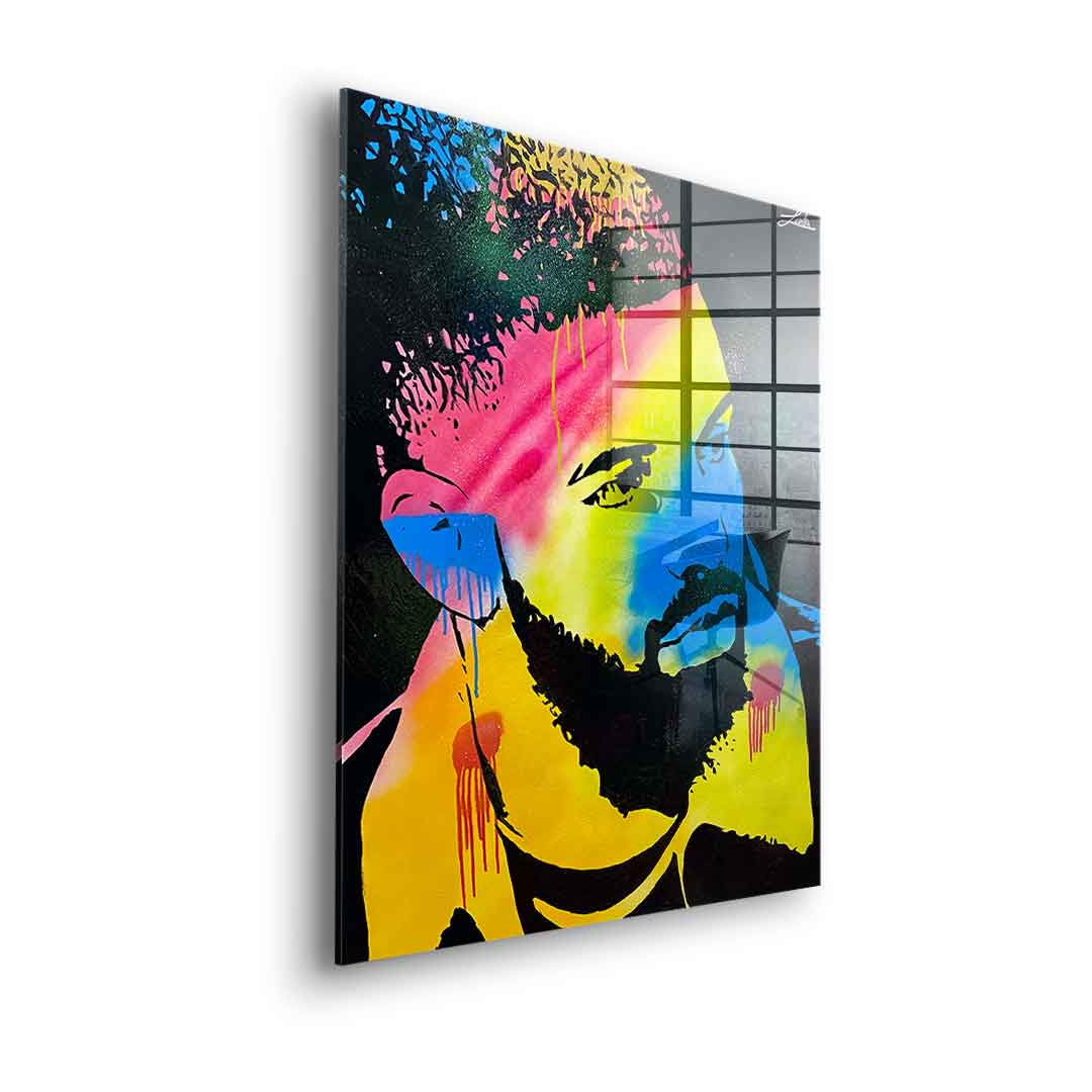 Drake - acrylic glass