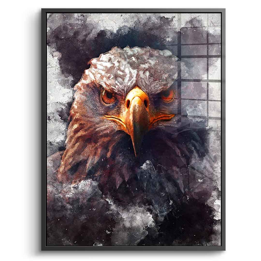 Eagle Portrait - acrylic glass