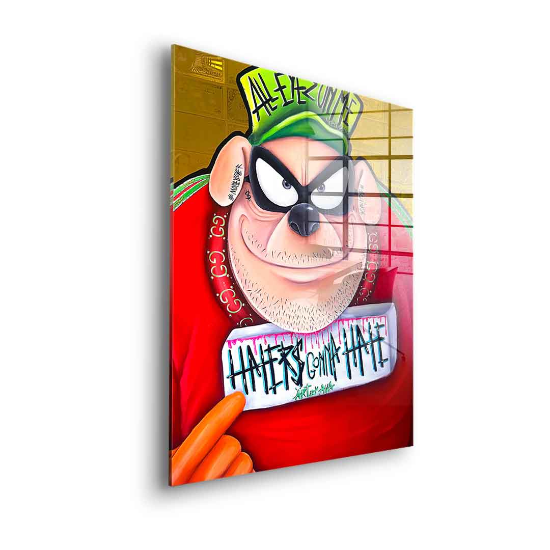 Haters gonna hate - acrylic glass