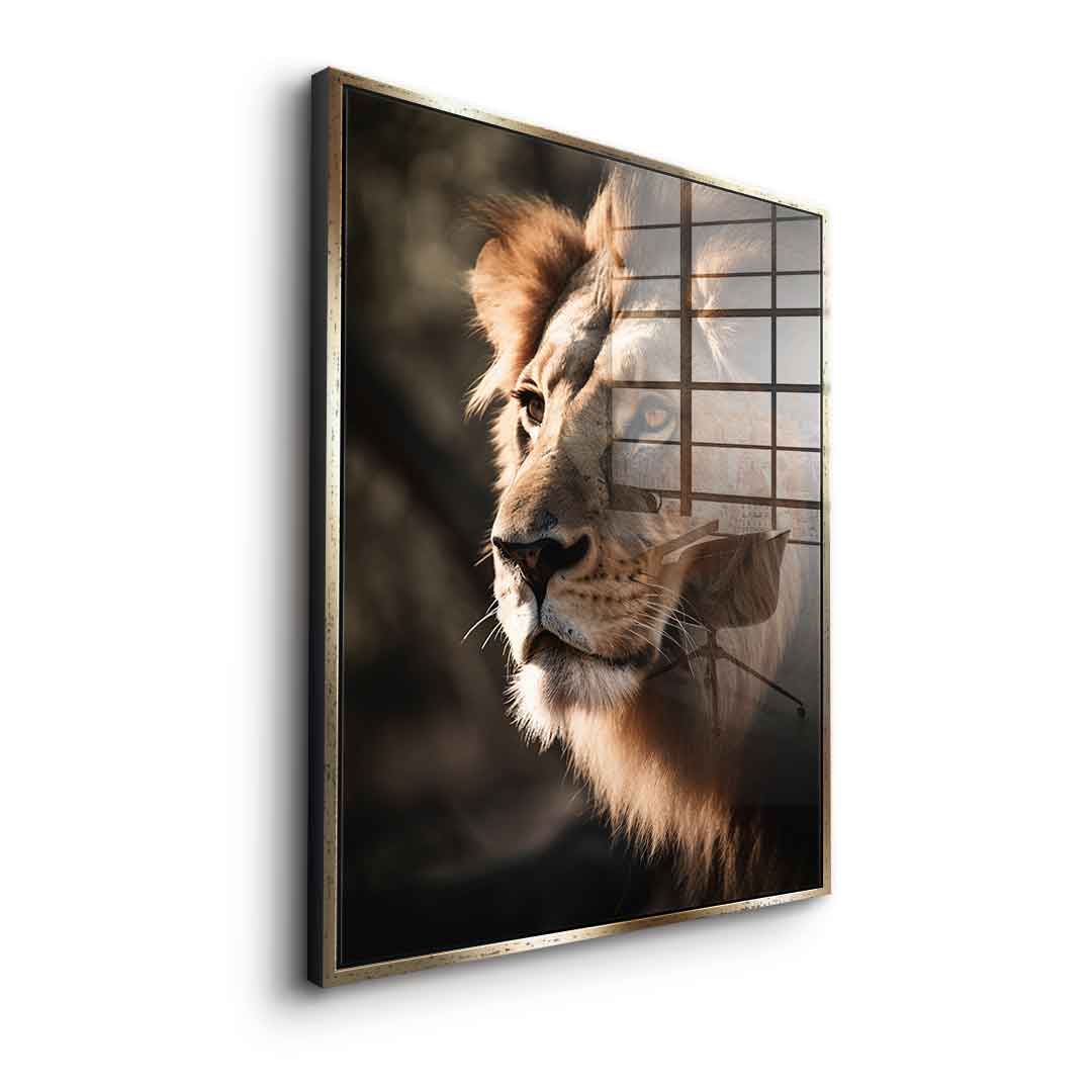 Lion - acrylic glass