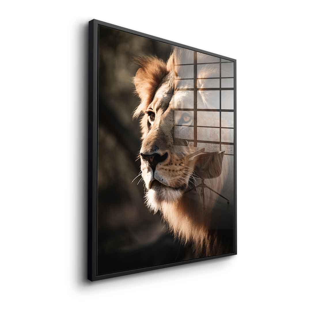 Lion - acrylic glass