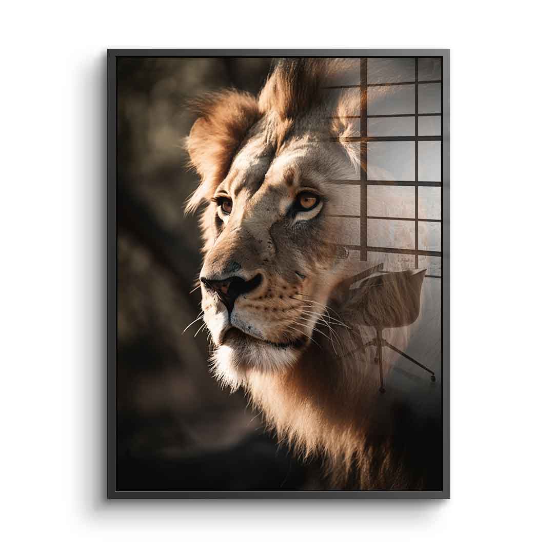 Lion - acrylic glass