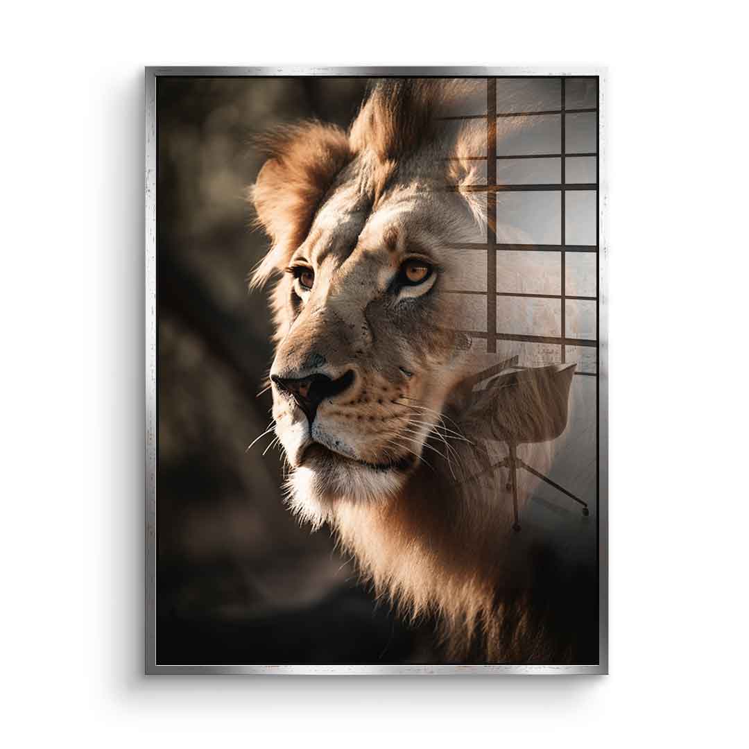 Lion - acrylic glass