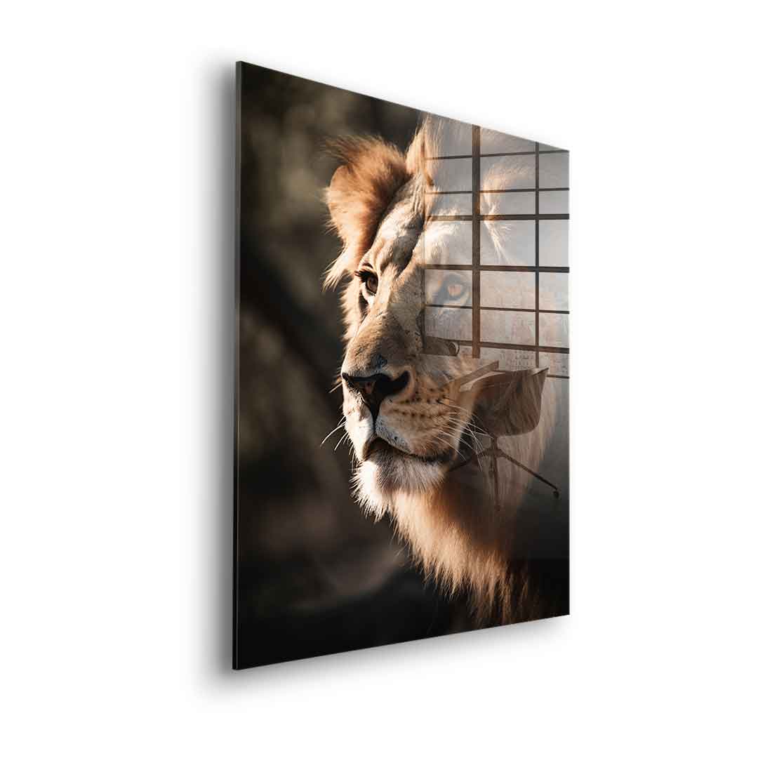 Lion - acrylic glass