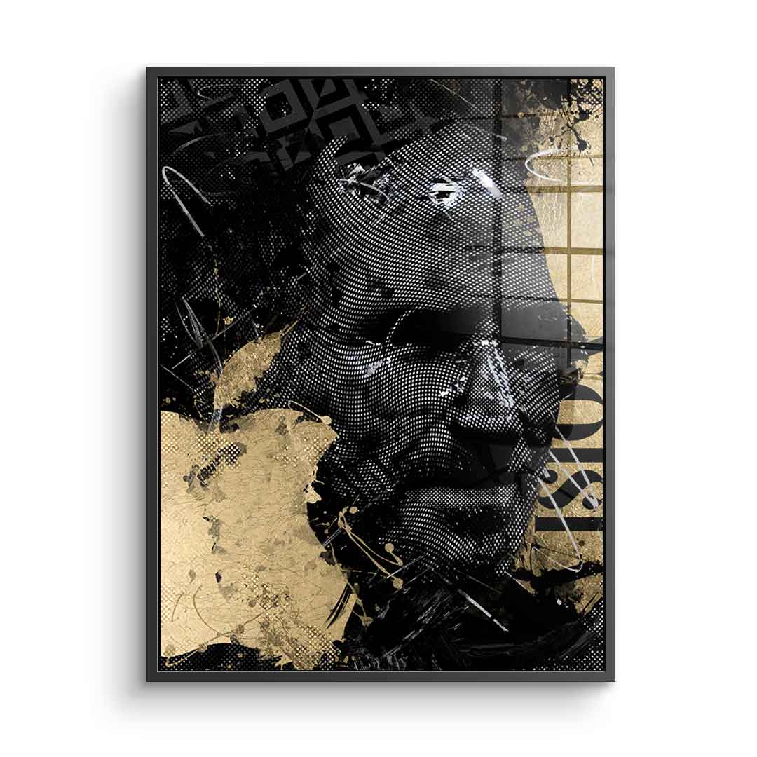 Luxury Steve - acrylic glass