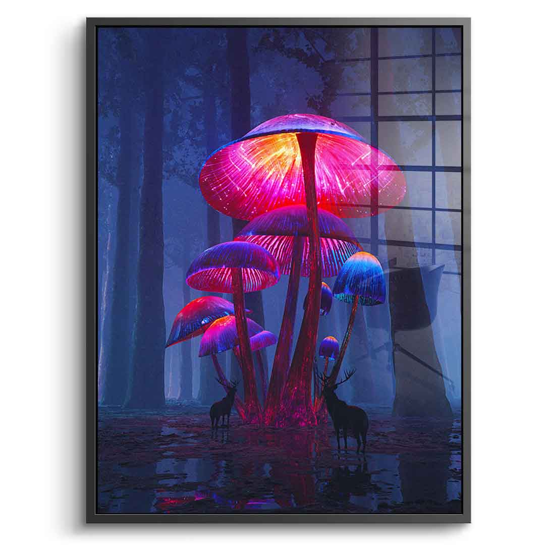 The Magic Shrooms - acrylic glass