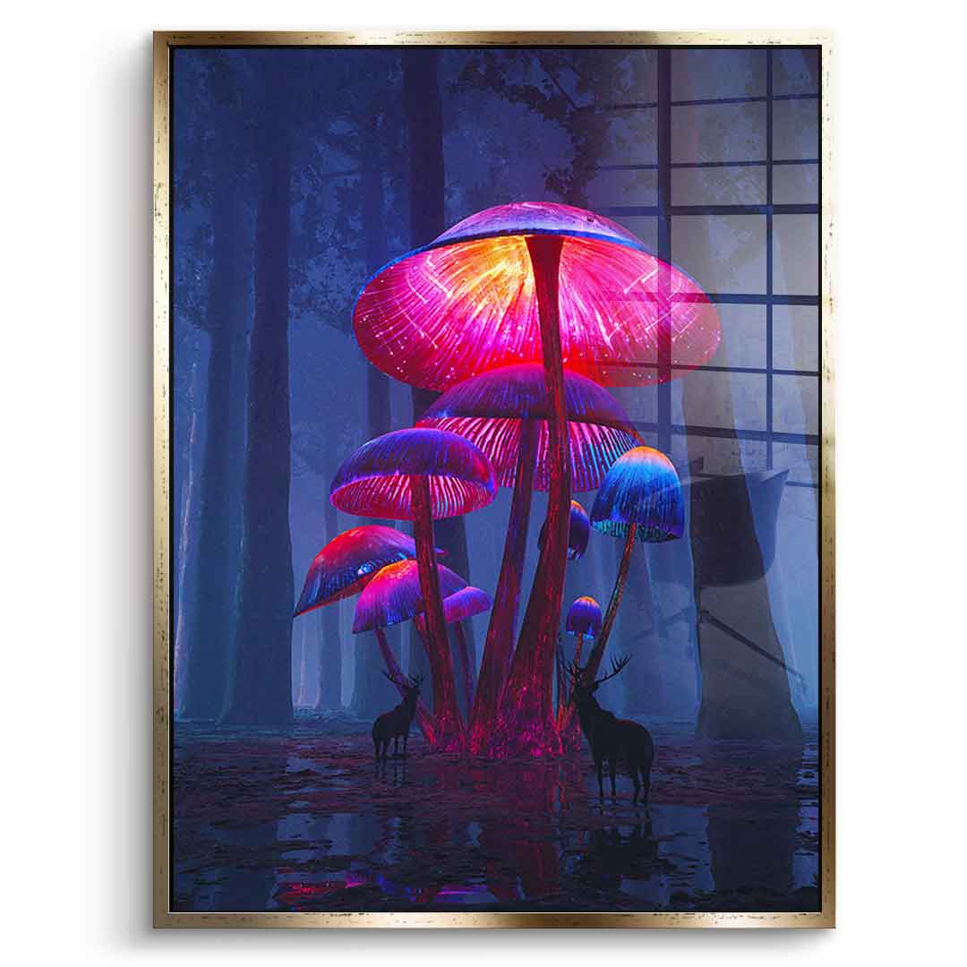 The Magic Shrooms - acrylic glass