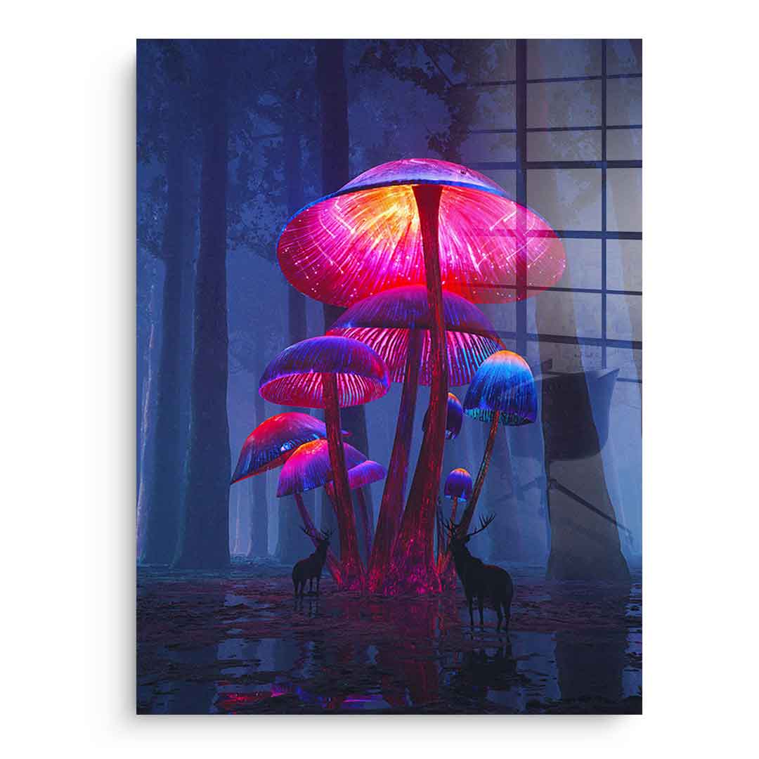 The Magic Shrooms - acrylic glass