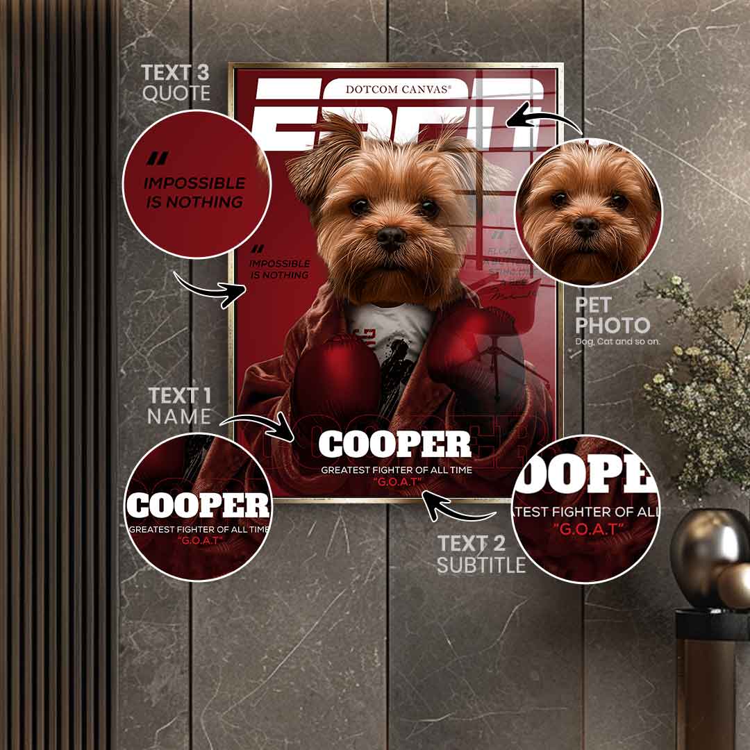 ESPN customizable - acrylic glass