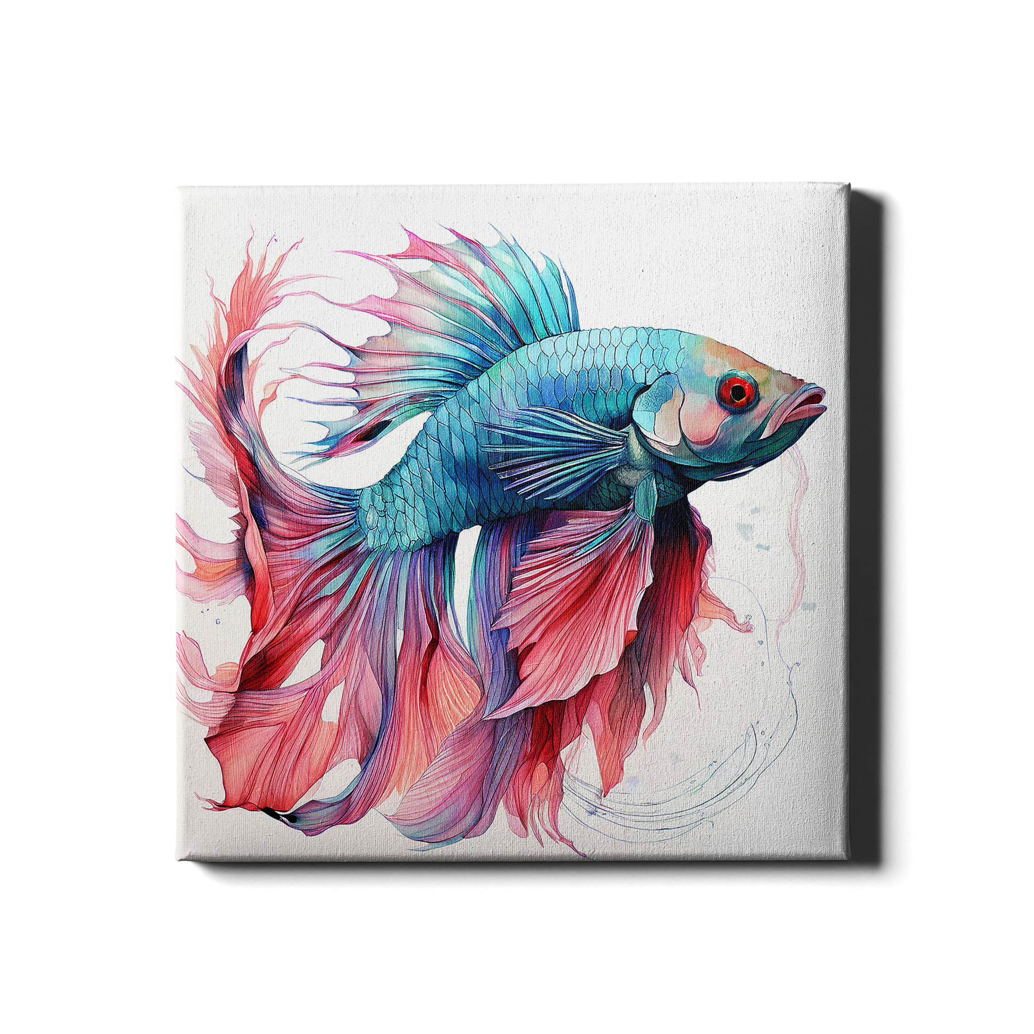 POISSON COMBATTANT