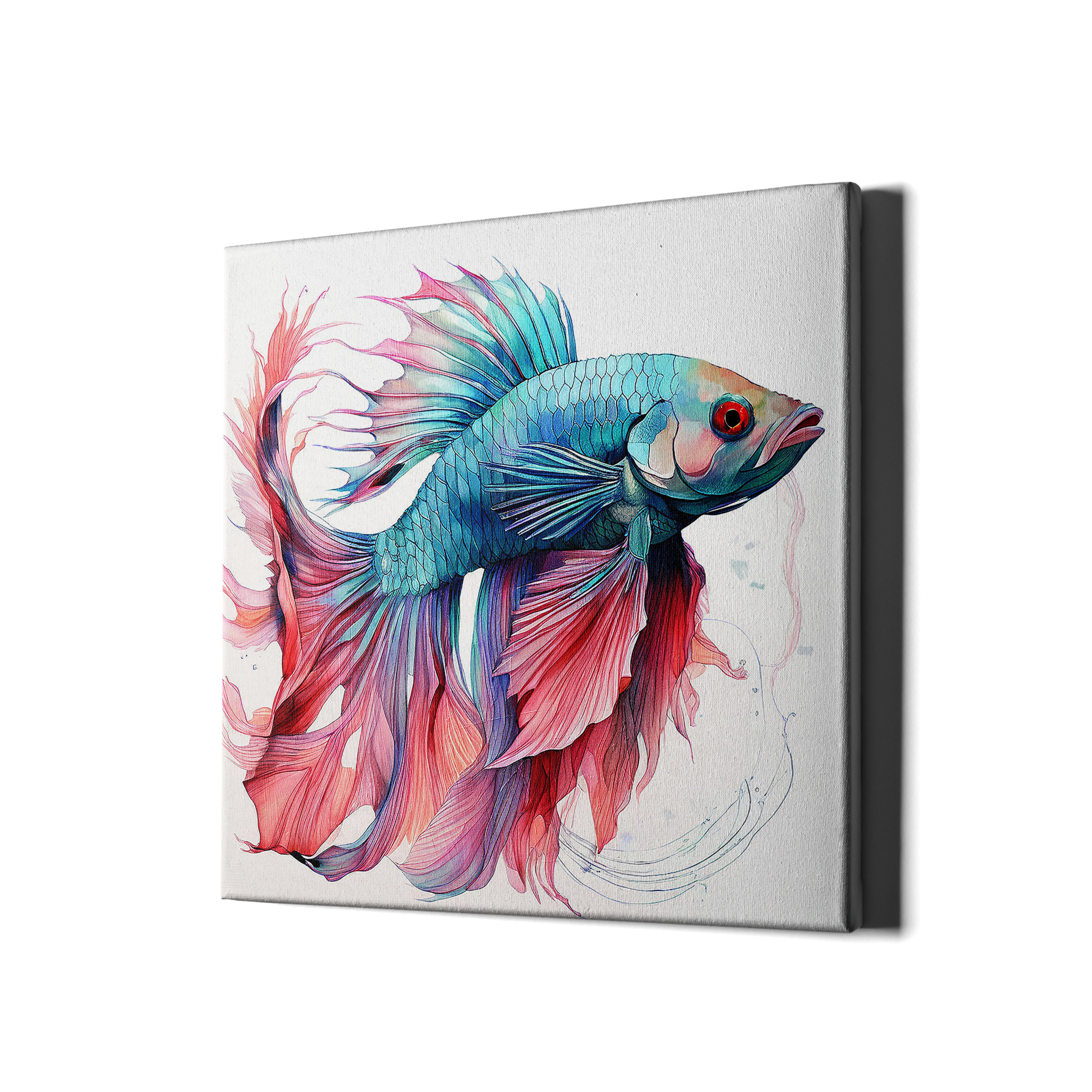 FIGHTING FISH