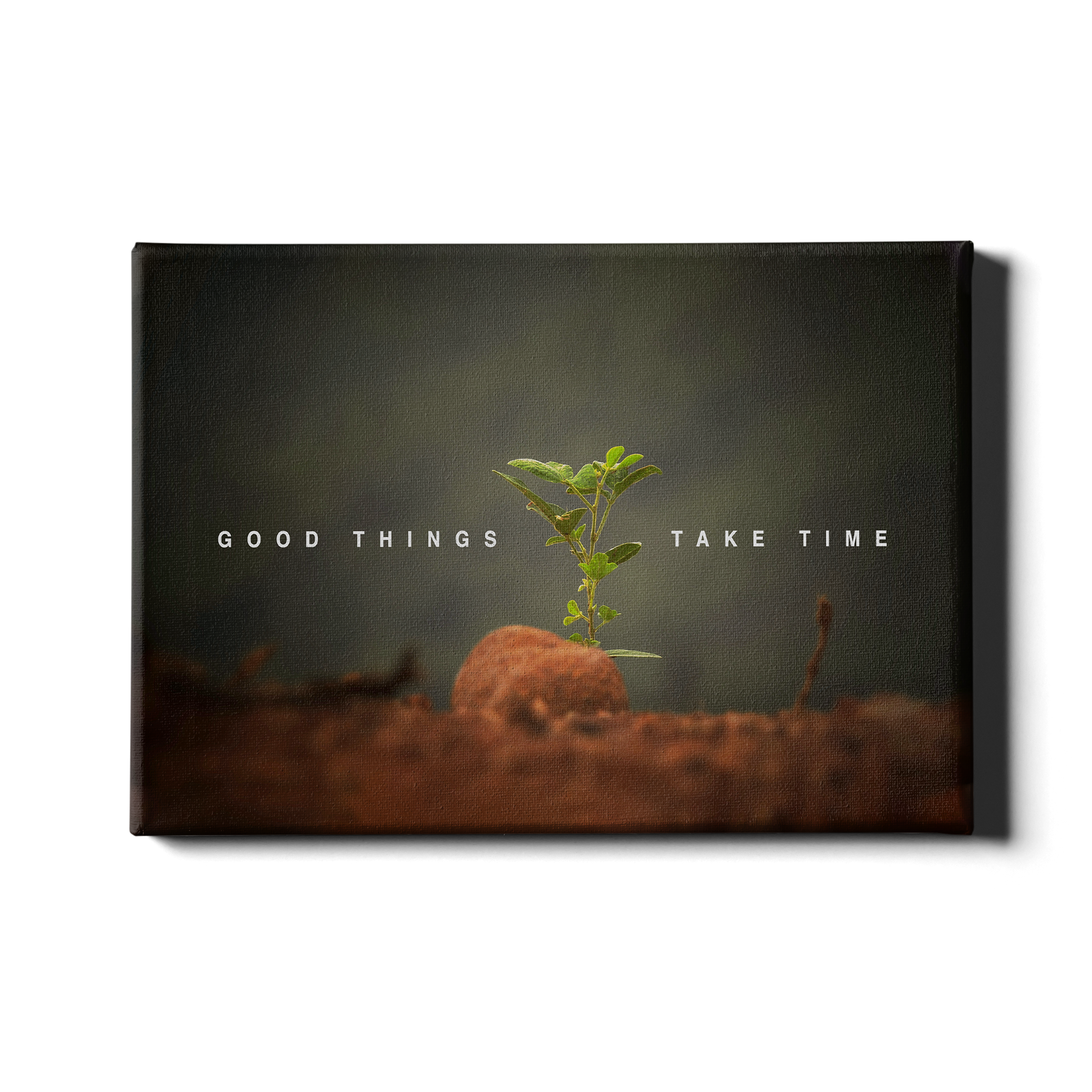 GOOD THINGS TAKE TIME