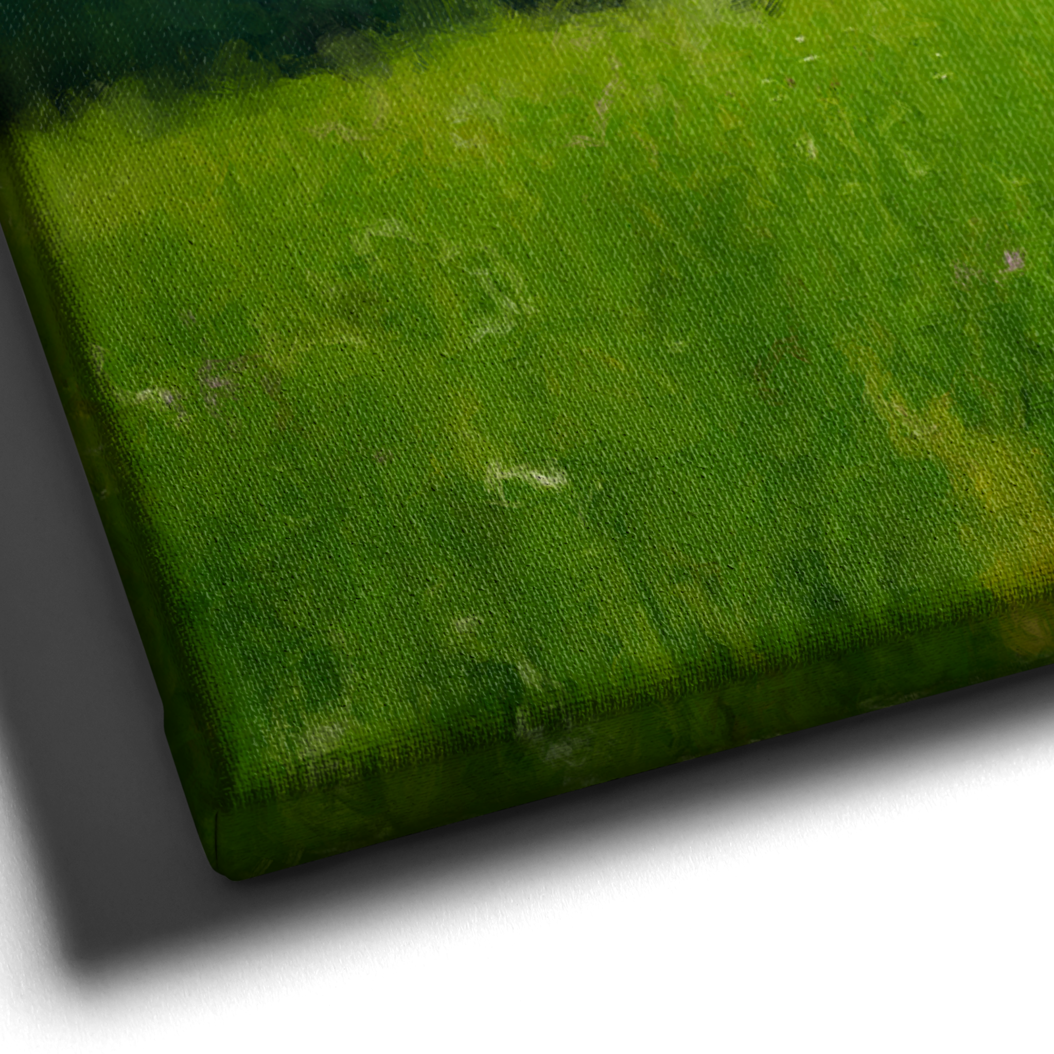 GRASS FIELD