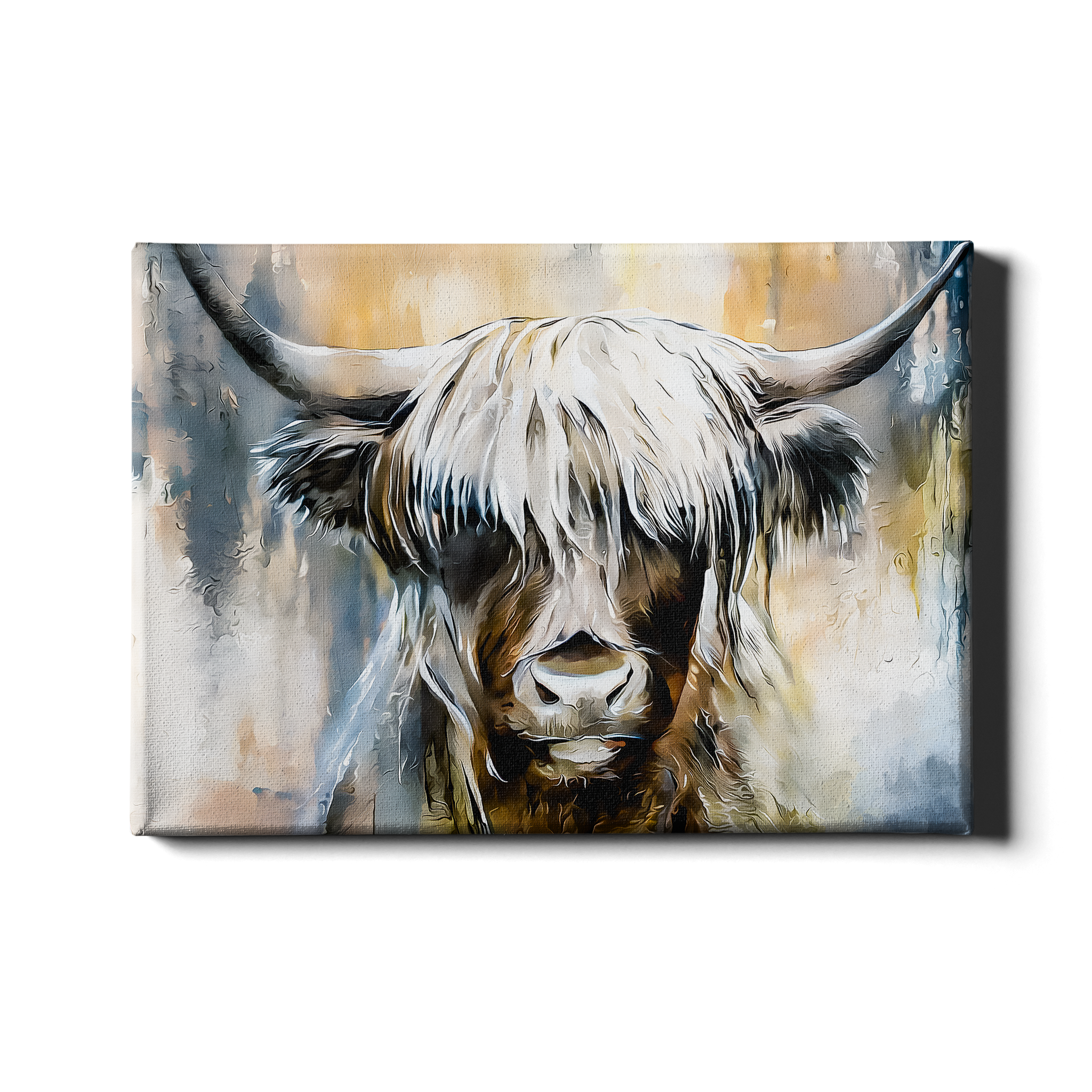 HIGHLAND COW