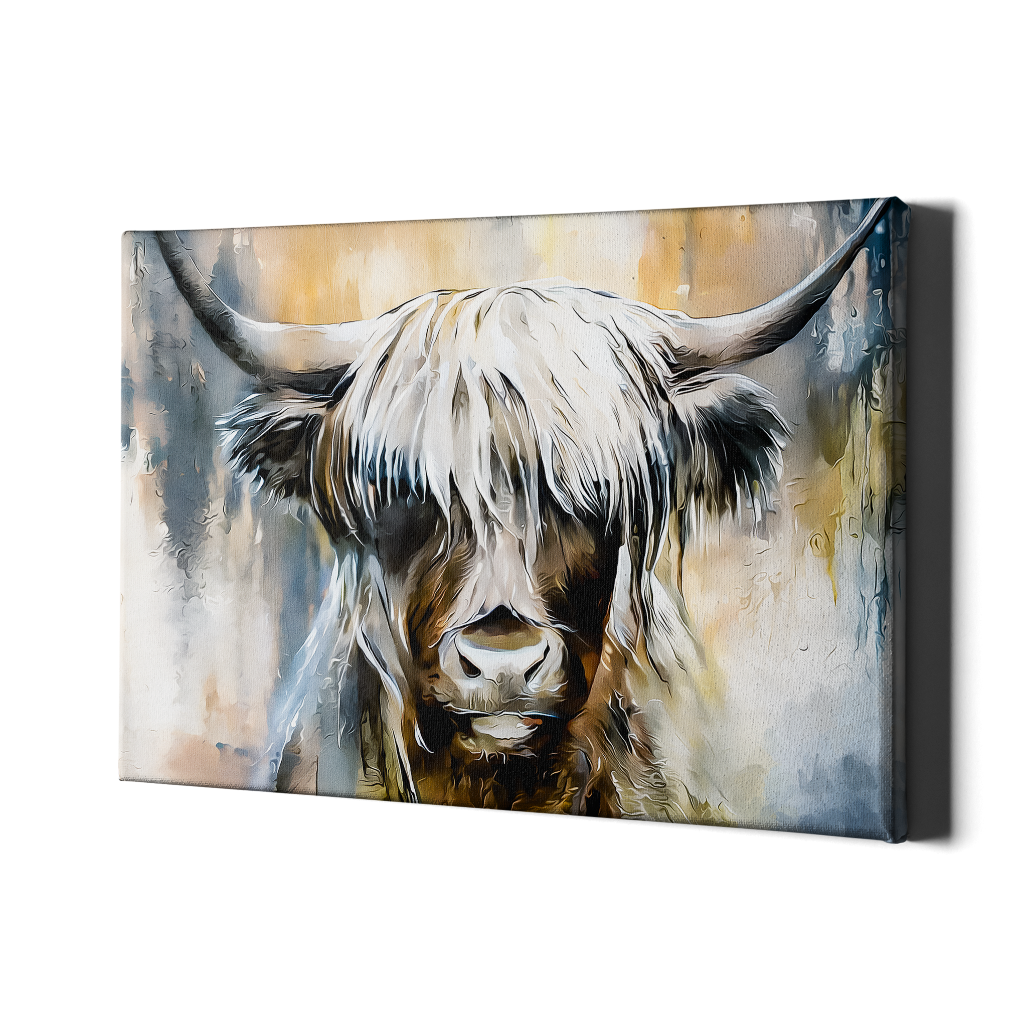 HIGHLAND COW