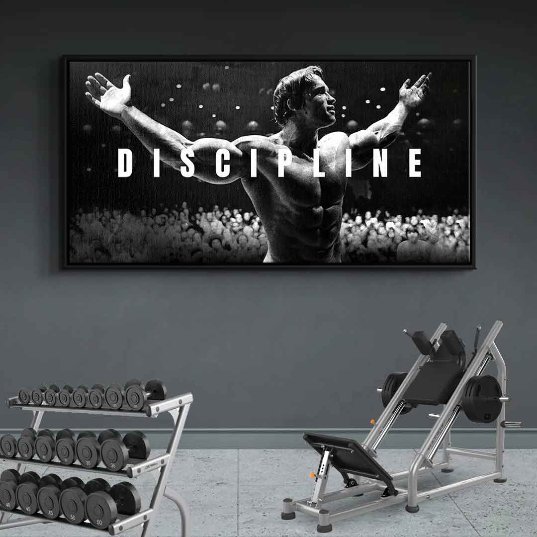 Discipline