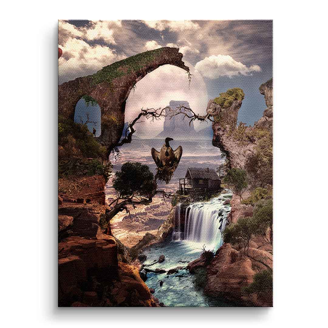 Canyon Skull