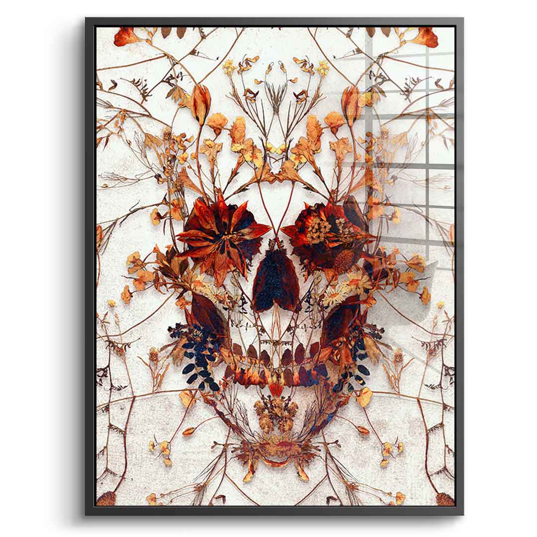 Delicate Skull - acrylic glass