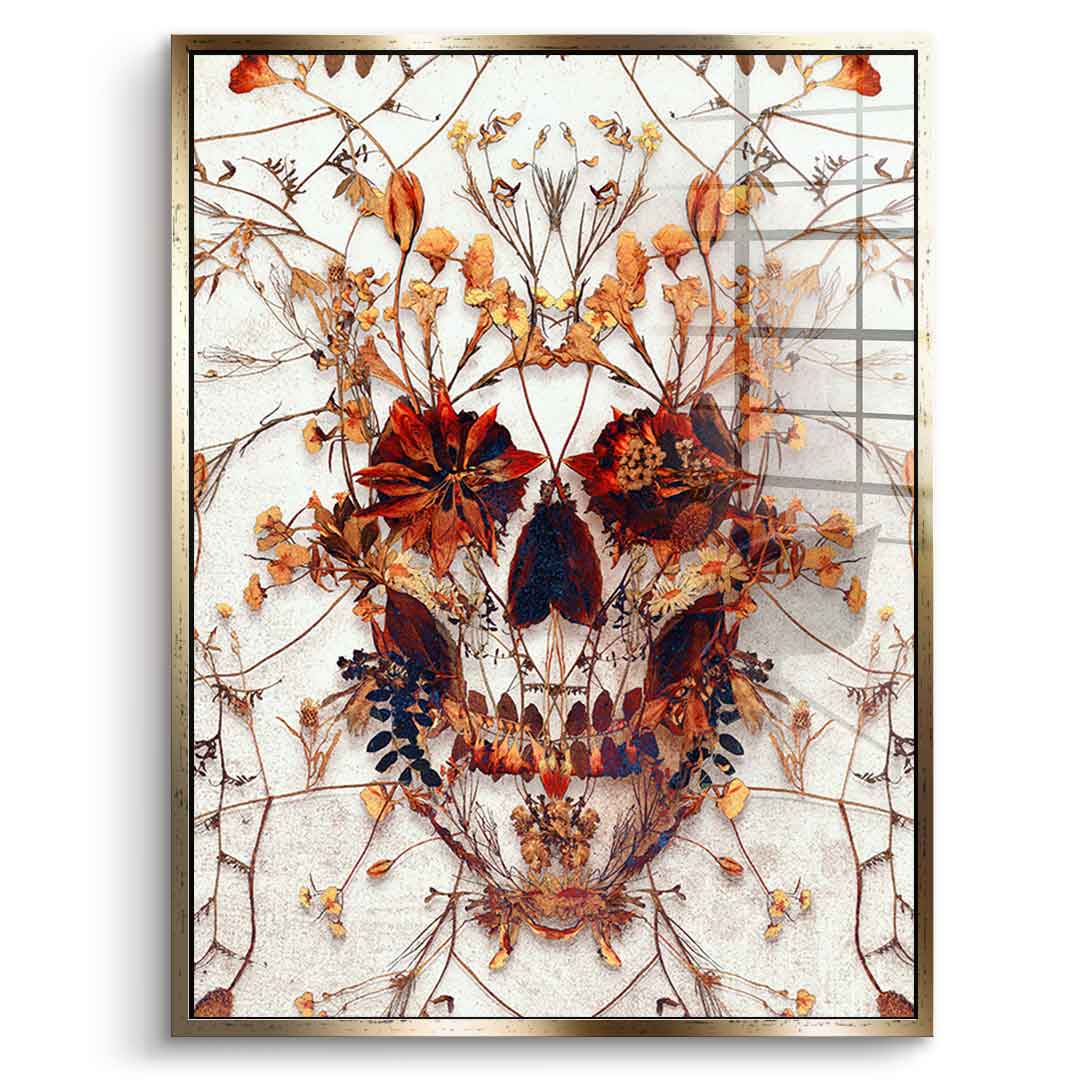 Delicate Skull - acrylic glass