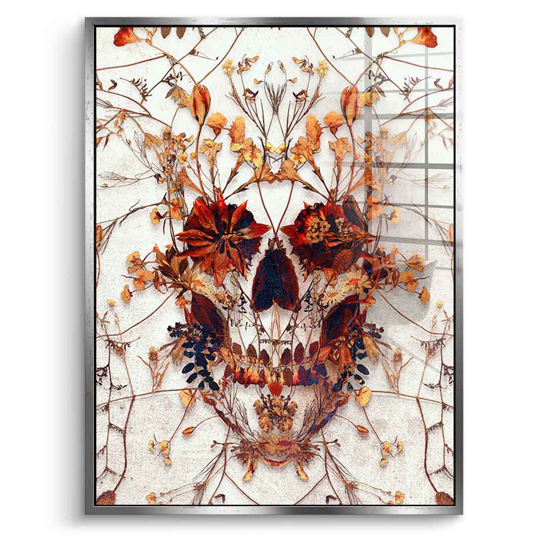 Delicate Skull - acrylic glass