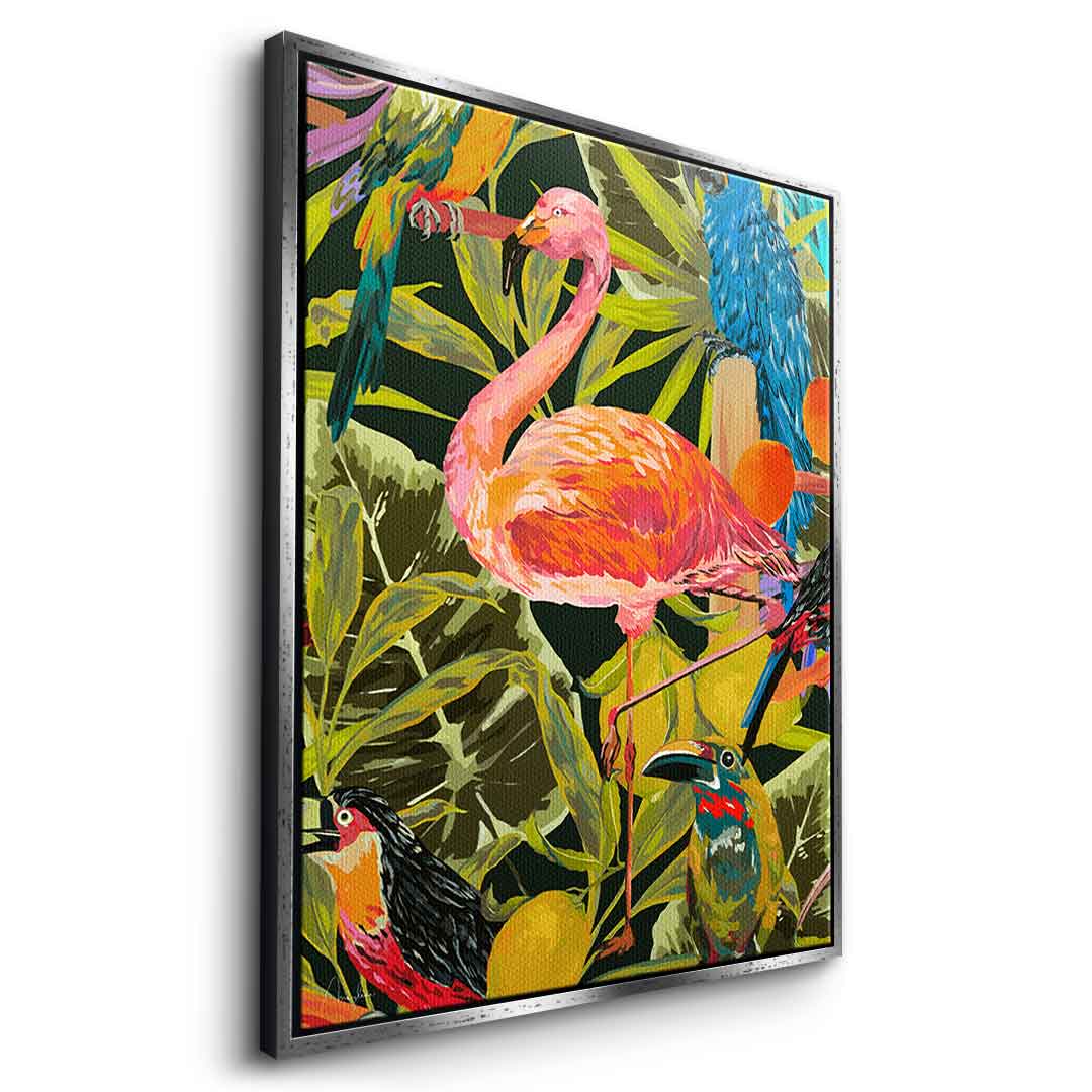 Jungle flamingo