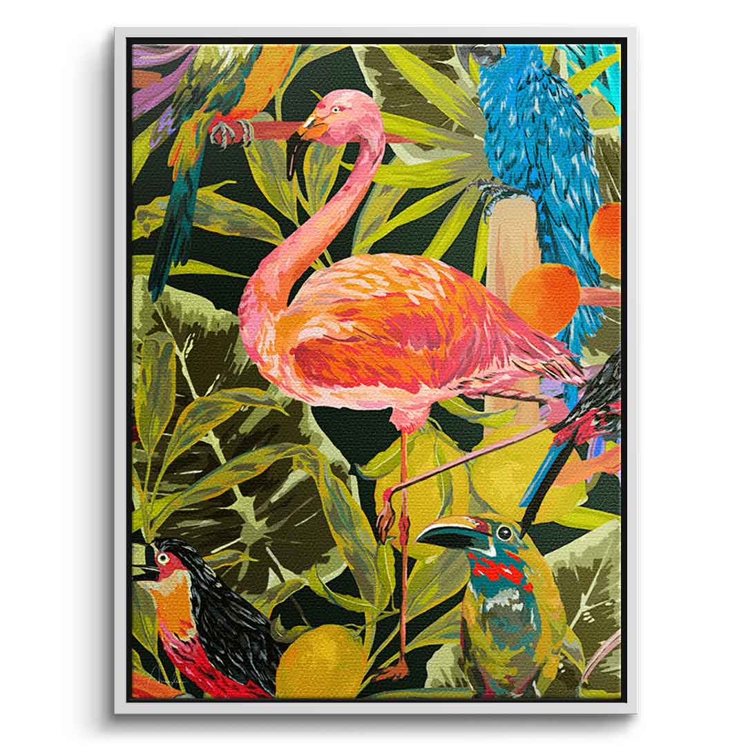 Jungle flamingo