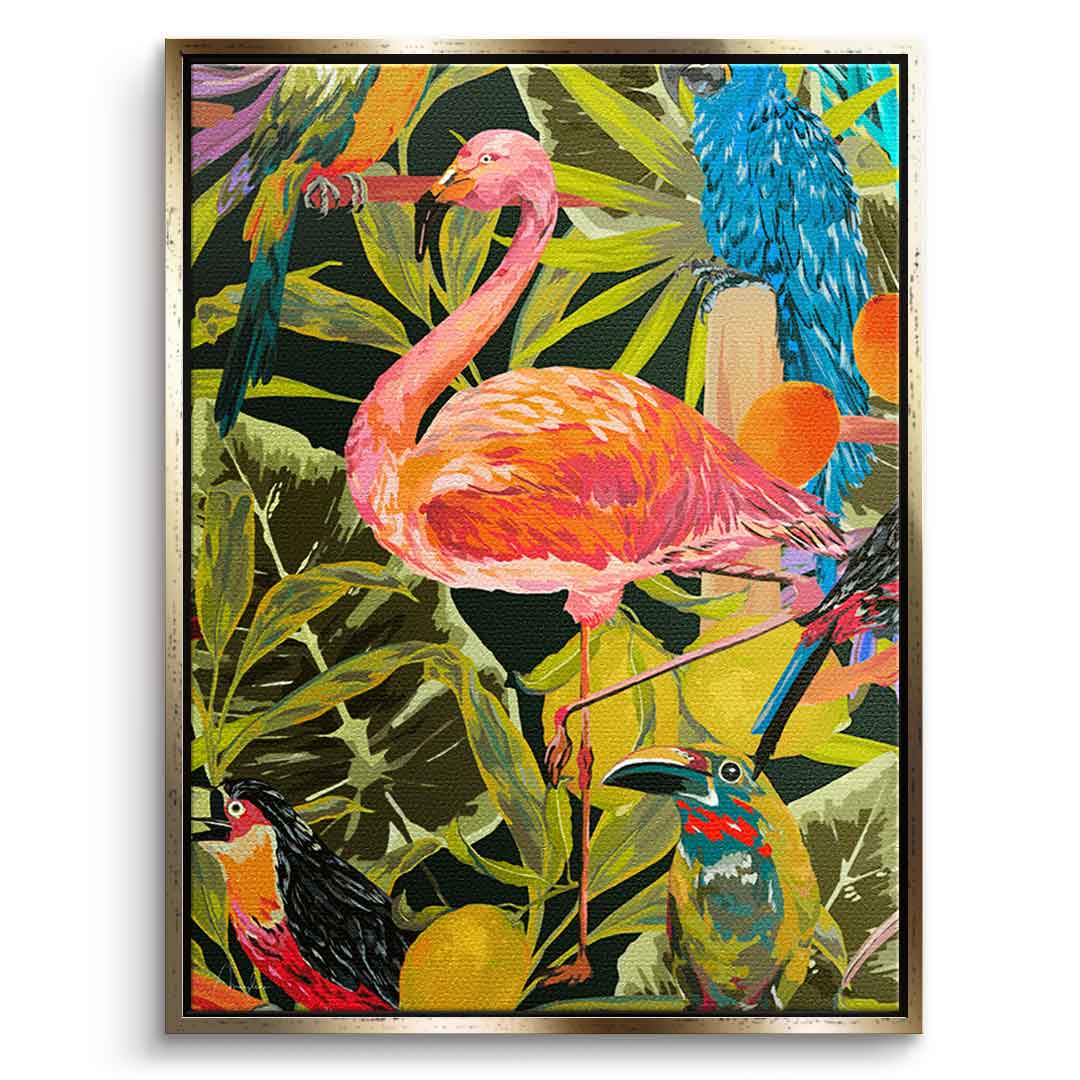 Jungle flamingo