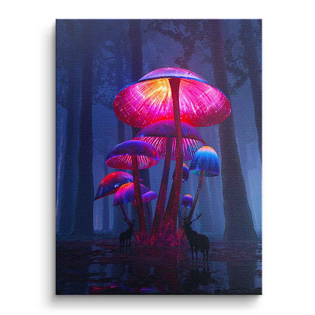 The Magic Shrooms