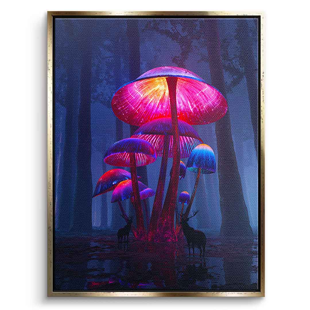 The Magic Shrooms