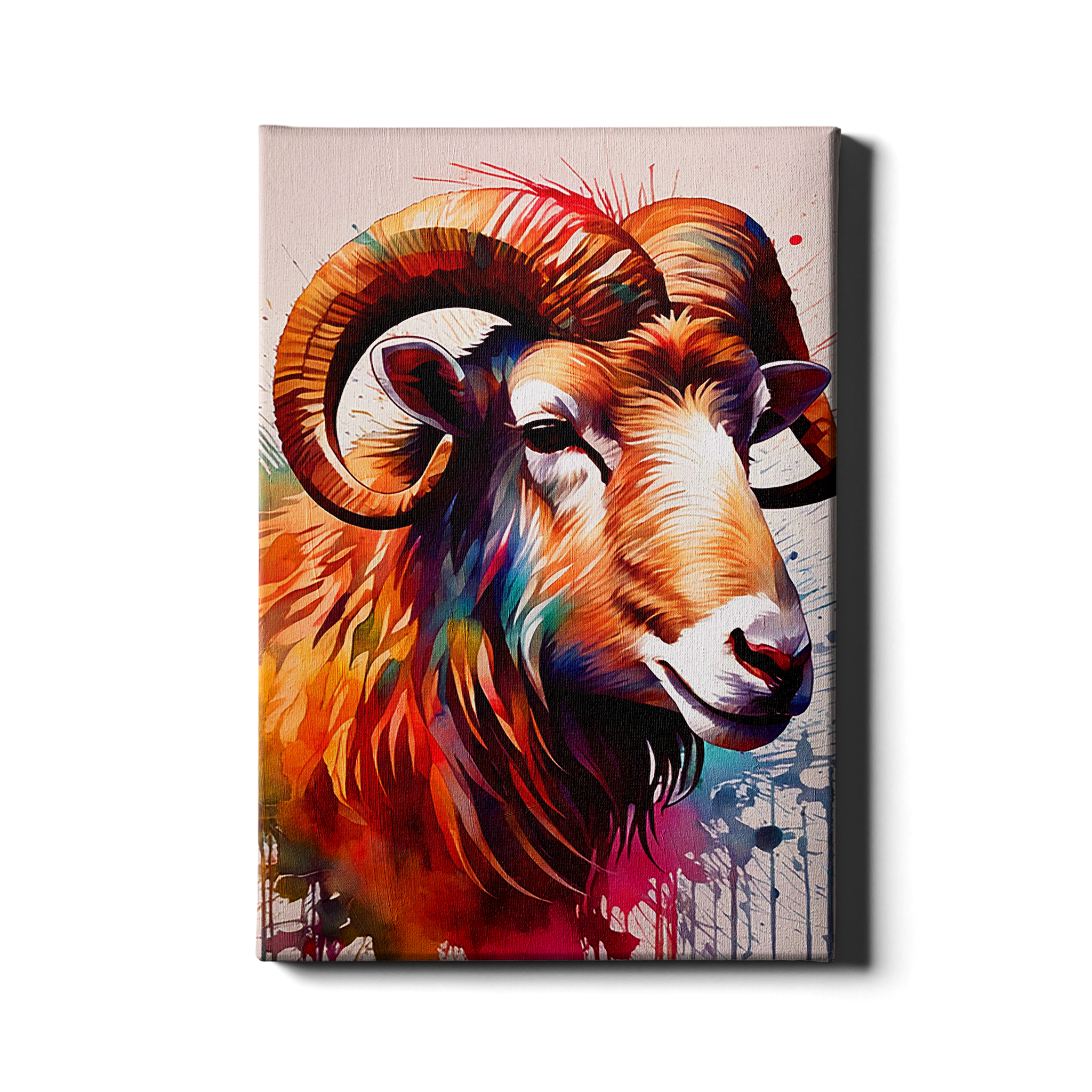 PRISMATIC DORPER SHEEP