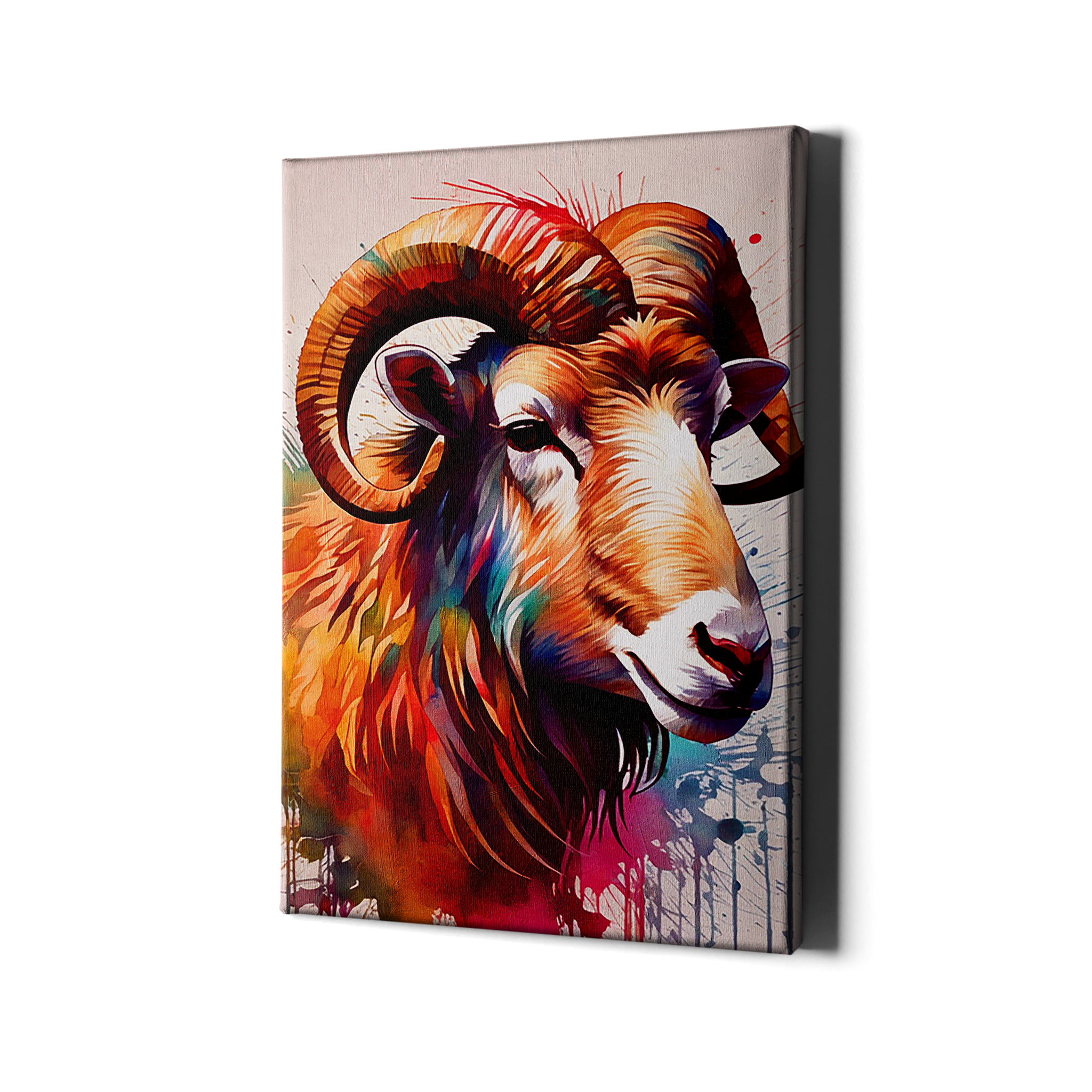 PRISMATIC DORPER SHEEP