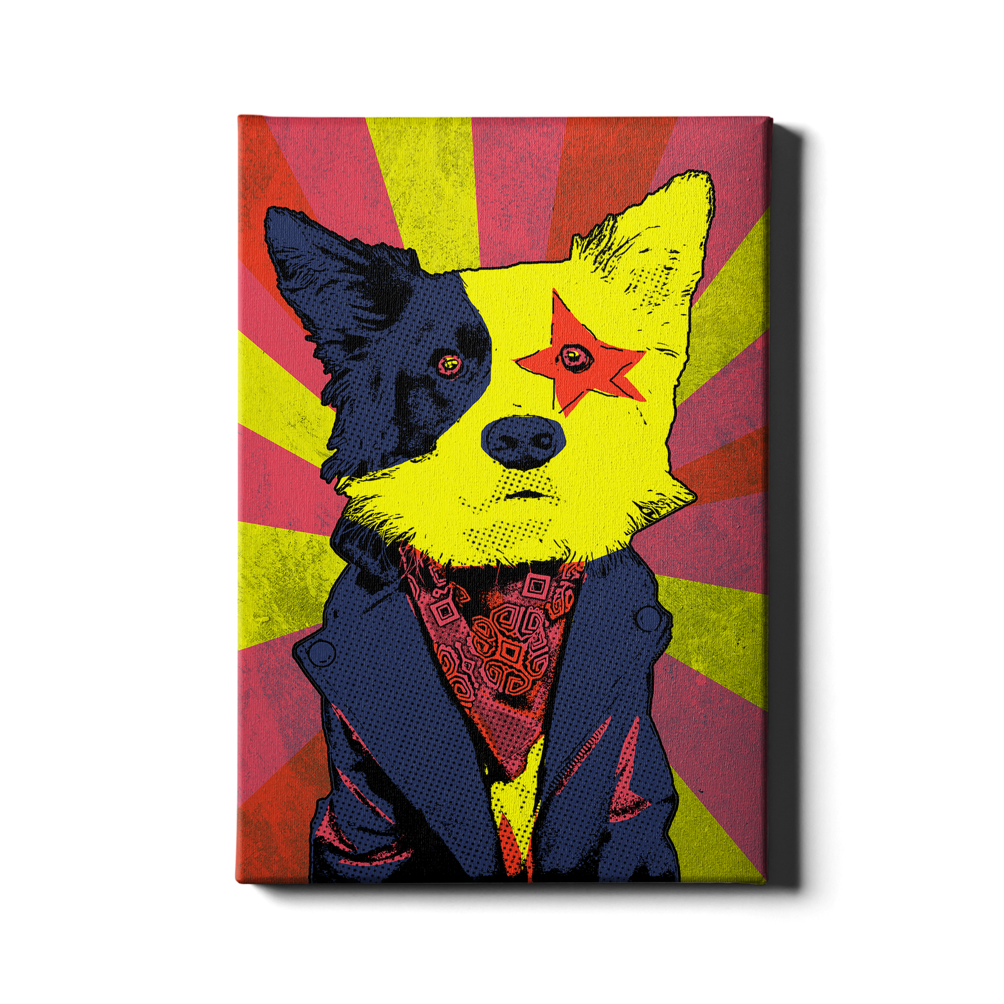 ROCKSTAR-COLLIE