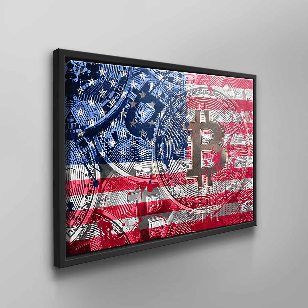 Crypto Flag USA