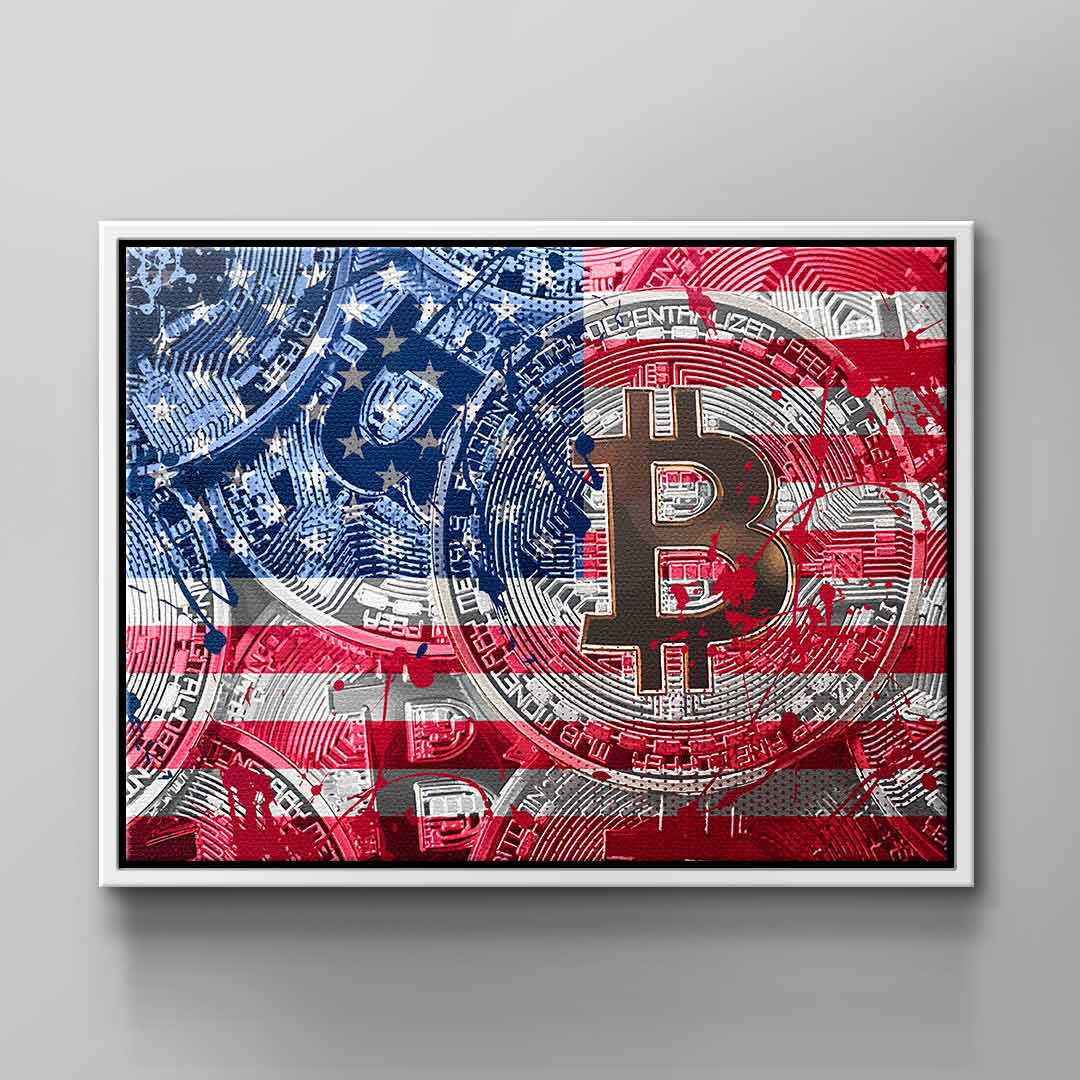 Crypto Flag USA